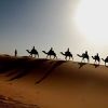 Rachid Modlar Profile