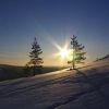 Hend Modlar Profile