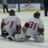 Alex Modlar Profile