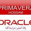 Primavera Modlar Profile