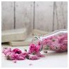 Maymona Modlar Profile