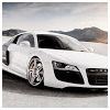 lp19920526 Modlar Profile
