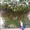 Rawan Modlar Profile