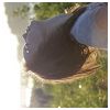  Modlar Profile