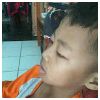 kucing Modlar Profile