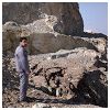 Hamid Modlar Profile