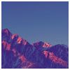 Stephen Modlar Profile