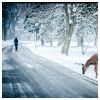 Winter Modlar Profile