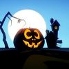 Harris Modlar Profile