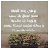 Heba Modlar Profile