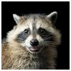 Your Modlar Profile