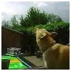 Thijs Modlar Profile