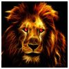 king Modlar Profile
