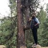 Wisam Modlar Profile