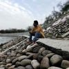 Mohd Modlar Profile
