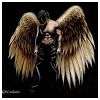 BlackAngel Modlar Profile