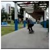 teamskateshit Modlar Profile