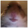  Modlar Profile