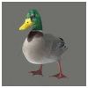 Duck_slayer Modlar Profile