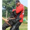 Dave Modlar Profile