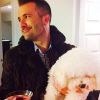Brandon Modlar Profile
