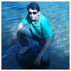 amit Modlar Profile