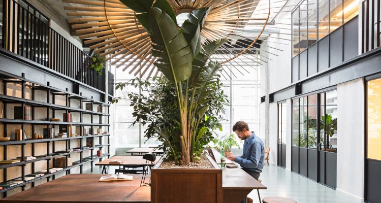 Enhancing The Benefits Of Coworking Spaces Through Design Modlar Com