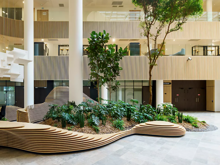 Trabajo de la naturaleza: 6 oficinas con diseño de espíritu biológico