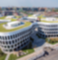 Green Roofs in Architecture