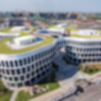 Green Roofs in Architecture