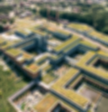 Green Roofs in Architecture