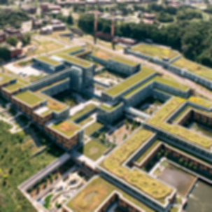 Green Roofs in Architecture