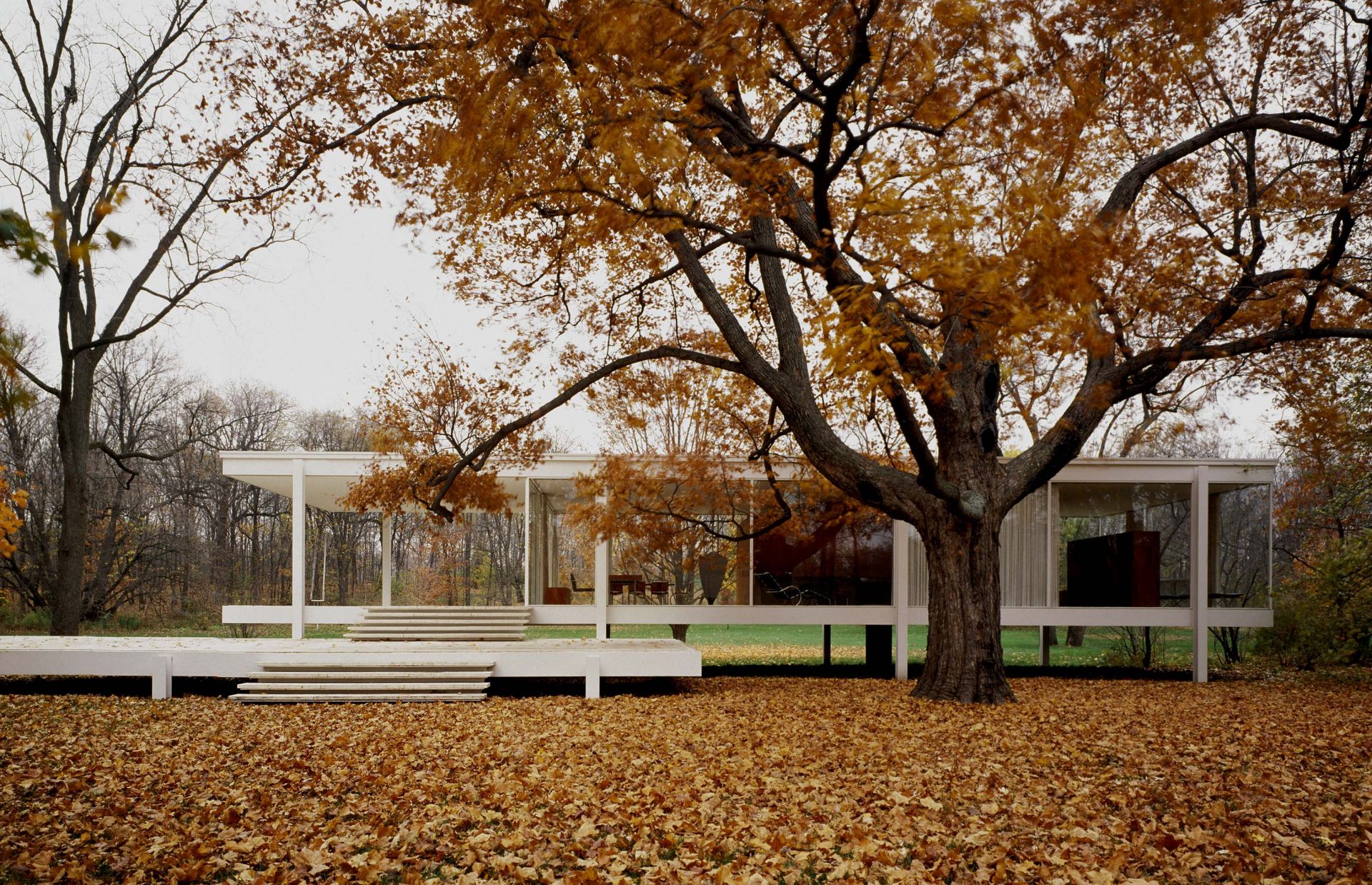 Farnsworth House Interior