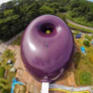 Purple Architecture & Interior Design