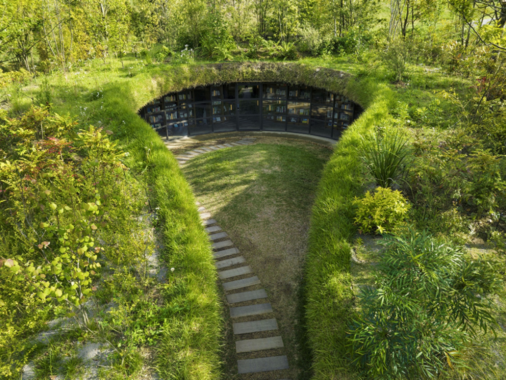 Earthy Library Library in the Earth - Ceiling - modlar.com