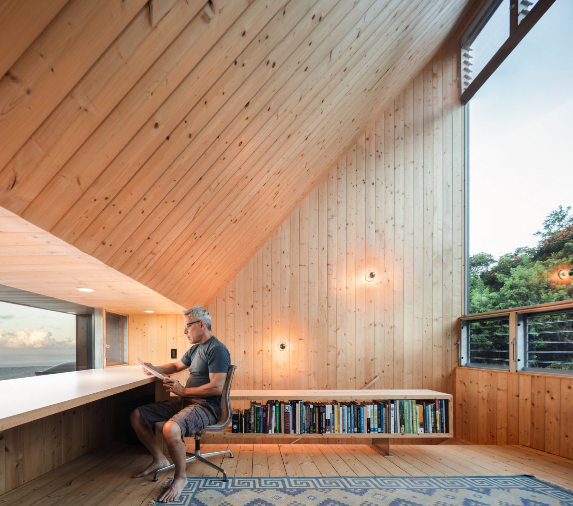 D Fin House - Façade - modlar.com