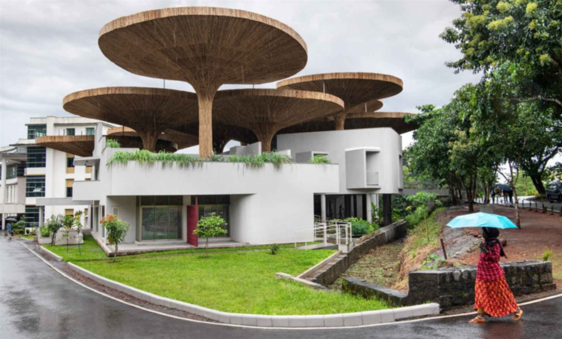 Center for Inclusive Growth & Competitiveness
