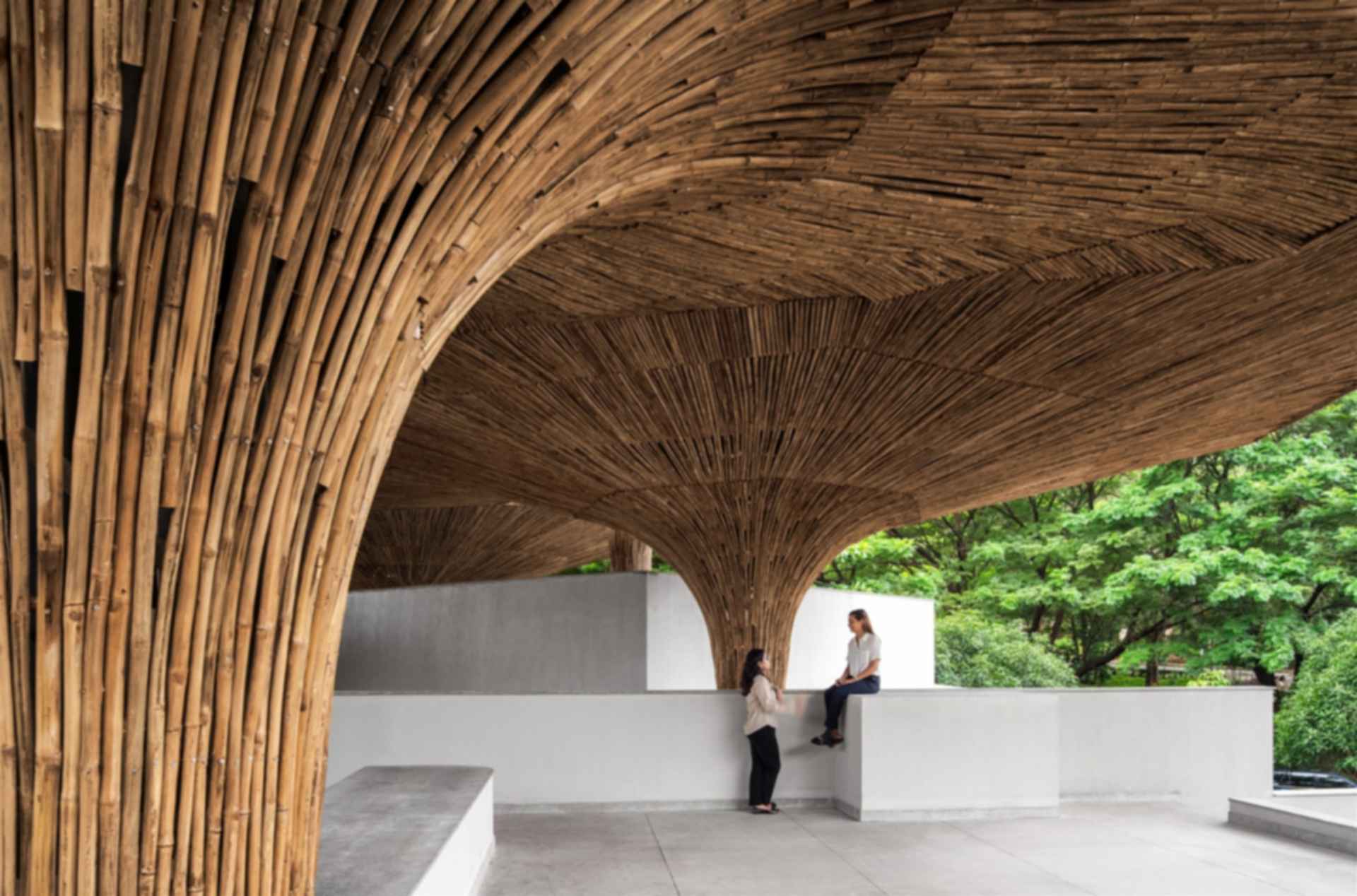 Center for Inclusive Growth & Competitiveness - Bamboo Parasols