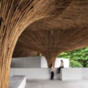 Center for Inclusive Growth & Competitiveness - Bamboo Parasols