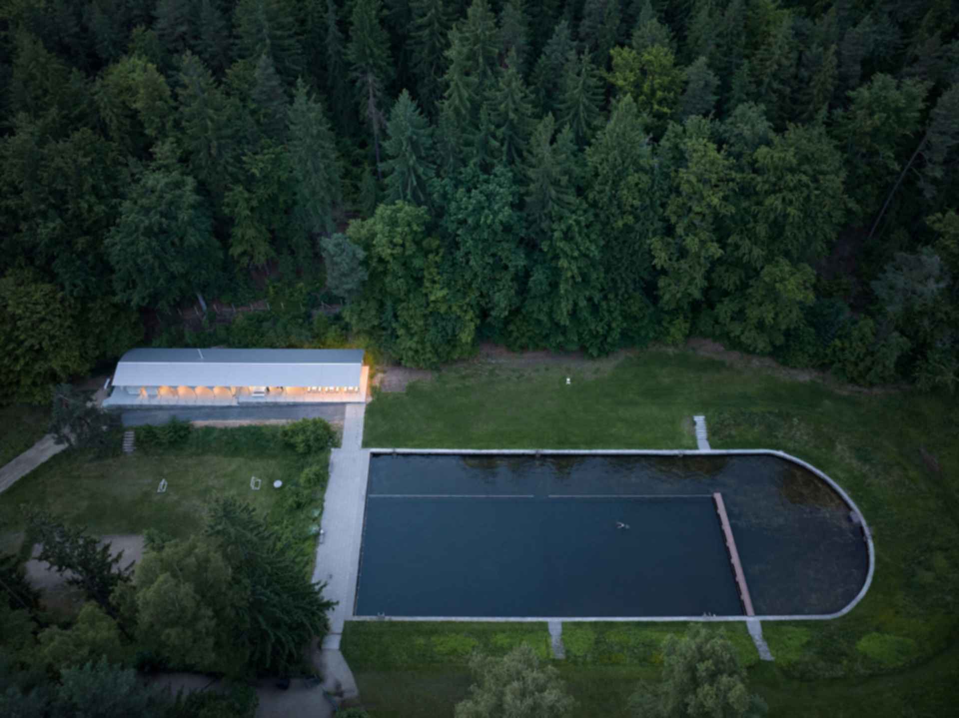 Forest Pool