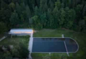 Forest Pool