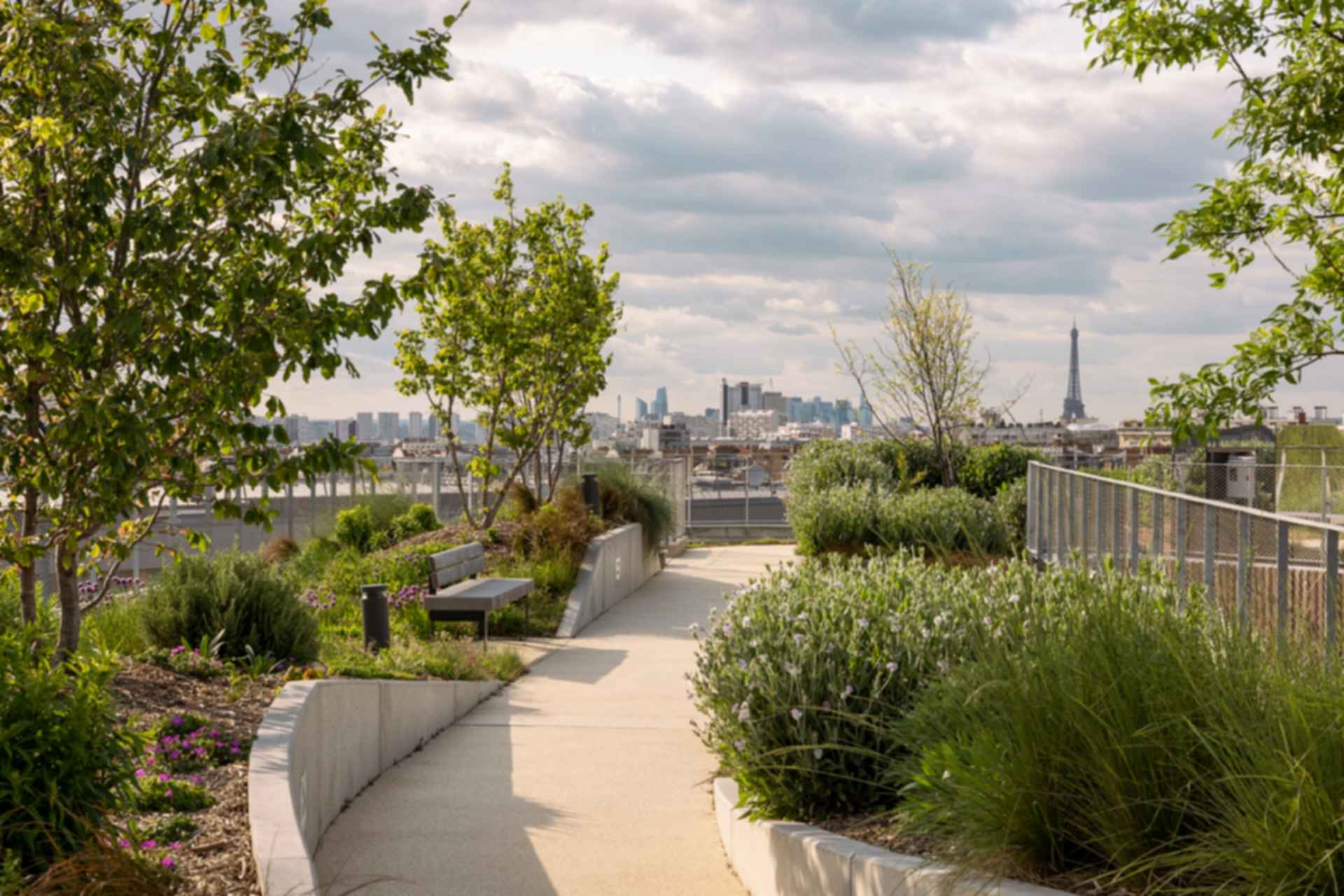 Fondation de Chine - Green Roof