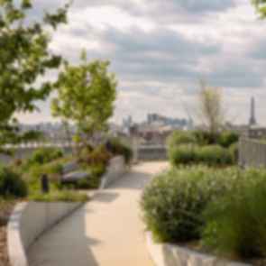 Fondation de Chine - Green Roof