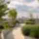Fondation de Chine - Green Roof