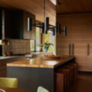 Rustic Canyon Residence - Kitchen