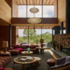 Rustic Canyon Residence - Lounge