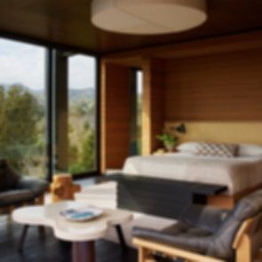 Rustic Canyon Residence - Bedroom