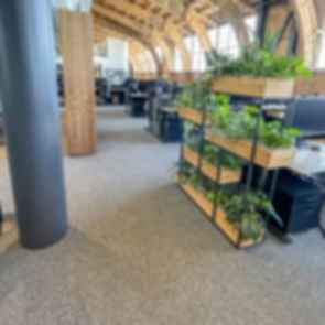 Google Spruce Goose - Floor System