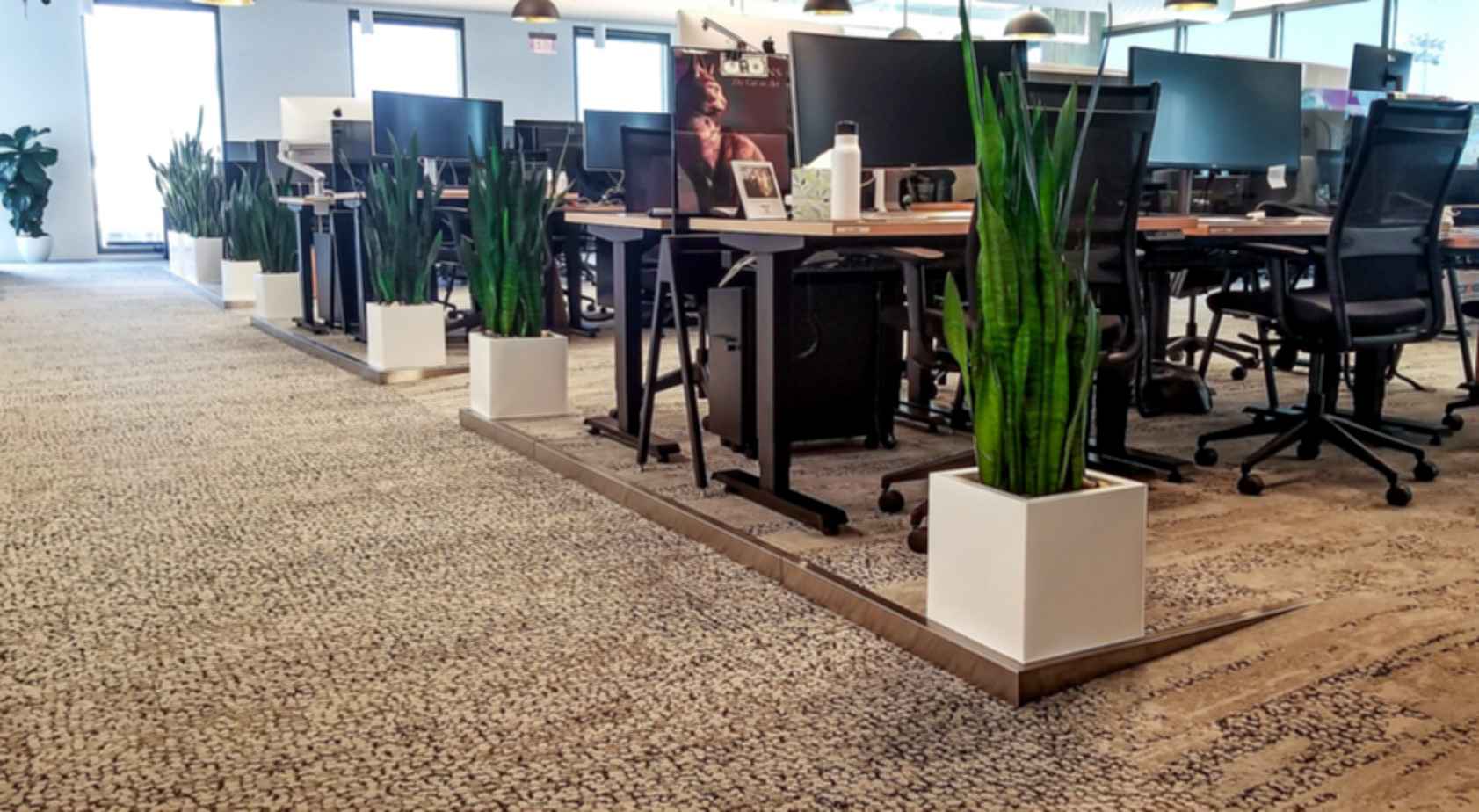 Netflix Los Angeles Headquarters - Work Area