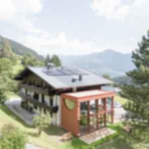 House Schmitten - Aerial View